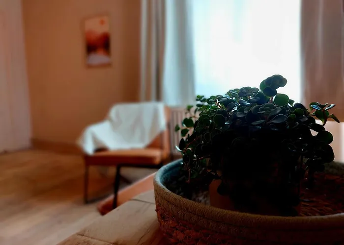 Pensjonat Mydeer Malmedy